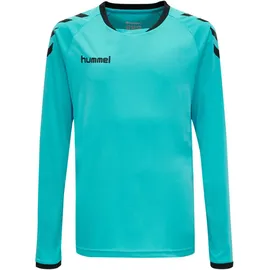 hummel Core Torwart Set Torwarttrikot+Torwartshorts Kinder scuba blue 128
