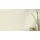 Rasch Textil Rasch Vliestapete 609028 Lucera uni beige 10,05 x 0,53 m