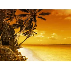 Fototapete PAPERMOON "PALMEN-STRAND-KARIBIK SÜDSEE MEER OZEAN SEE SONNE DÜNEN", bunt, B:2,50m L:1,86m, Vlies, Tapeten
