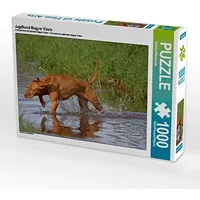 Calvendo Jagdhund Magyar Vizsla 1000 Teile