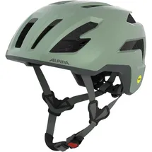 Alpina Taunus Gravel MIPS 55-59 cm Herren willow-green matt 2021