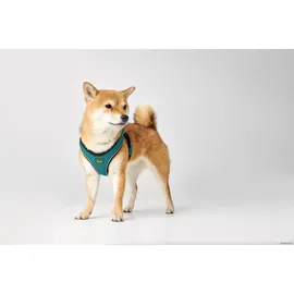 Hunter Hilo Comfort Hundegeschirr Türkis S-M
