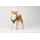 Hunter Hilo Comfort Hundegeschirr Türkis S-M