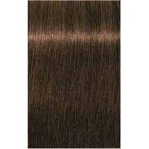 Schwarzkopf Professional Igora Royal Absolutes 6-50 dunkelblond gold natur 60 ml