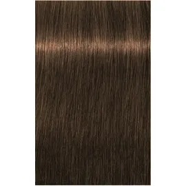 Schwarzkopf Professional Igora Royal Absolutes 6-50 dunkelblond gold natur 60 ml