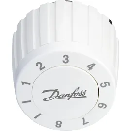 Danfoss Rücklauftemperaturbegrenzer FJVR 10-80 GradC Heizkörperthermostat