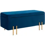 Homcom Sitzbank mit Stauraum Polsterbank mit Samtoptik, Sitztruhe mit Metallbeine, Truhenbank für Wohnzimmer Schlafzimmer Flur 100 x 40 x 42 cm, Esszimmer, Bänke, Sitzbänke