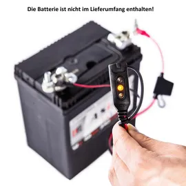 Ctek Comfort Indicator Eyelet M8