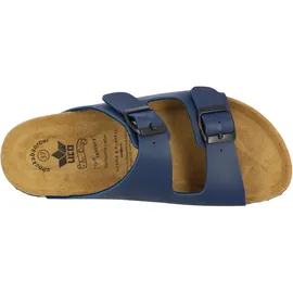 LICO Bioline Special Blau 40