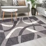 Mazovia Modern Teppich - Kurzflor - Teppich für Wohnzimmer, Schlafzimmer, Esszimmer - ÖKO-TEX Wohnzimmerteppich, Robust und pflegeleicht, Niedrige Florhöhe – Teppiche - grau 160 x 220 cm