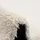 Snapstyle Luxus Hochflor Shaggy Teppich Dream Beige 200x300cm