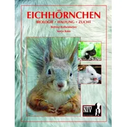 Eichhörnchen