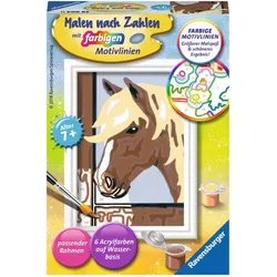 RAVENSBURGER 29604 Malen nach Zahlen Daisy