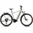 28 Zoll RH 58 cm Diamant pea´n´green