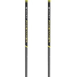Leki Smart Pacemaker Lite 105 cm grau