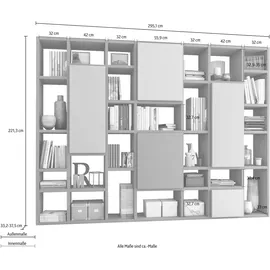 fif Möbel »TORO 521«, Breite 295 cm