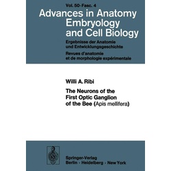 The Neurons of the First Optic Ganglion of the Bee (Apis mellifera) als eBook Download von W. A. Ribi