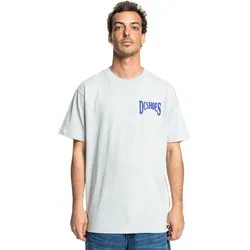 T-Shirt DC SHOES "Members Only", Herren, Gr. M, light erdgrau, [Hauptstoff] 75% Baumwolle, 25% recycelte Baumwolle, Kurzarm, Shirts