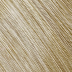 Goldwell Topchic Haarfarbe 10A pastell-aschblond