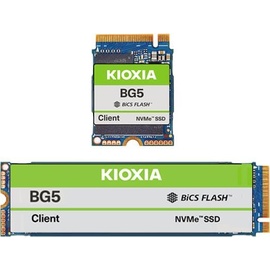 Kioxia BG5 Client SSD 256GB, M.2 2280 256 GB M.2 2280), SSD