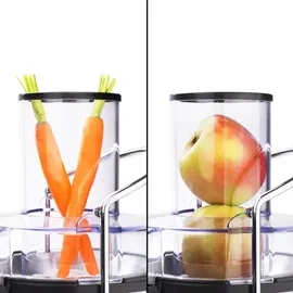 Princess 203040 Entsafter