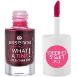 Essence - What a Tint! 4,9 ml
