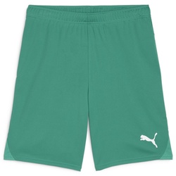 Puma Teamgoal Shorts sport green-puma white (05) 3XL