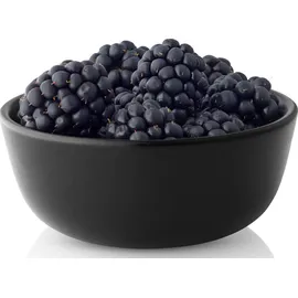 eva solo Nordic Kitchen Schale Schwarz 10 cm