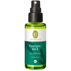 PRIMAVERA Energiekick Raumspray Bio 50 ml