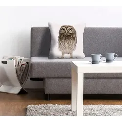 Dekokissen QUEENCE "Kelly", grau (grau, bedruckt), B:40cm L:40cm, Polyester, Dekokissen_Sitzkissen_Kissenhüllen, Kissenhülle,Weißer Hintergrund,Eule,Tiermotiv,Niedlich,Zart