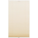 GARDINIA Plissee Concept Tageslicht, 40 cm x 130 cm beige