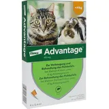 Elanco Advantage 40 für Katzen und Zierkaninchen 4 x 0,4 ml