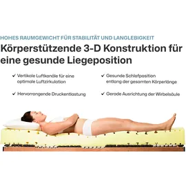 Ravensberger Matratzen Komfort-SAN 100 x 200 cm H2