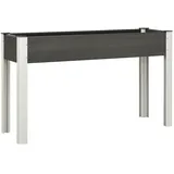vidaXL Garten-Hochbeet 120 x 40 x 75 cm Grau