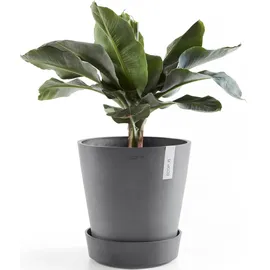 Ecopots Topfuntersetzer ECOPOTS "mit Rollen 60 Grau", grau, B:51cm H:10,1cm T:51cm Ø:49,3cm, Untersetzer, für innen und außen: frostsicher, bruchsicher und lichtbeständig