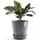 Ecopots Topfuntersetzer ECOPOTS "mit Rollen 60 Grau", grau, B:51cm H:10,1cm T:51cm Ø:49,3cm, Untersetzer, für innen und außen: frostsicher, bruchsicher und lichtbeständig