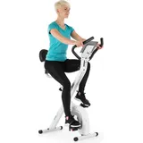 capital sports Azura Air Heimtainer, F Bike mit Magnet-Widerstand, Heimtrainer-Fahrrad Klappbar, Fitness Fahrrad Heimtrainer für Ausdauertraining ... - Silber