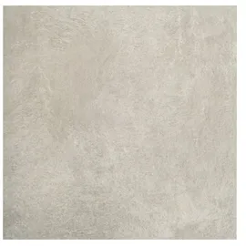 Diephaus Ceratio quarz 60 x 60 x 4 cm