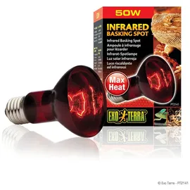 Exo Terra Infrared Basking Spot Infrarot-Spotlampe