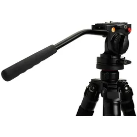 Celestron Regal Premium Stativ - Black