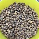 Neel Ayurvedics Nagkesar - 250 g