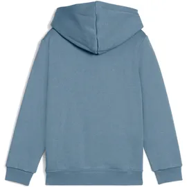 Puma Hoodie Coolblue 110