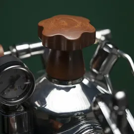 La Pavoni Professional Lusso LPLPLQ01EU chrom Kunststoffgriffe