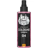 The Shave Factory After Shave Cologne Caribbean 04 250 ml