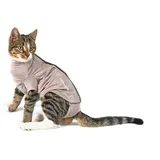 Kruuse Buster Body Suit Stepn Go für Katzen XXS
