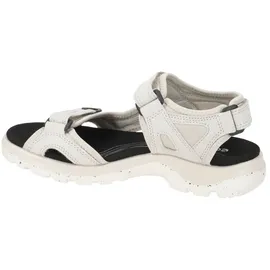 ECCO Offroad Damen gravel 39