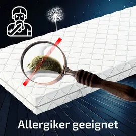 Matratzen Perfekt Taschenfederkernmatratze Köln 120 x 200 cm H3