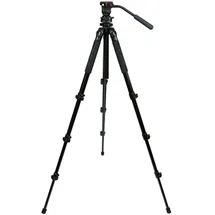 Celestron Regal Premium Stativ - Black