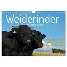 Calvendo Weiderinder im Frankenwald (Wandkalender 2026 DIN A4 quer), CALVENDO Monatskalender: Momentaufnahmen und Porträts von Rindern auf der Weide (CALVENDO Tiere)
