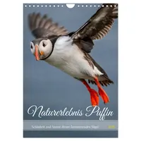 Calvendo Naturerlebnis Puffin (Wandkalender 2026 DIN A4 hoch), CALVENDO